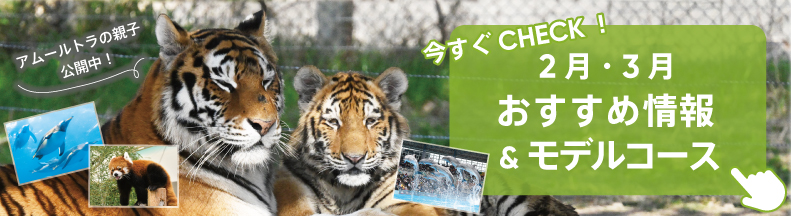 パークの楽しみ方