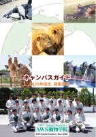 page 1 thumbnail