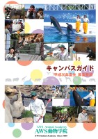 page 1 thumbnail