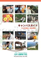page 1 thumbnail