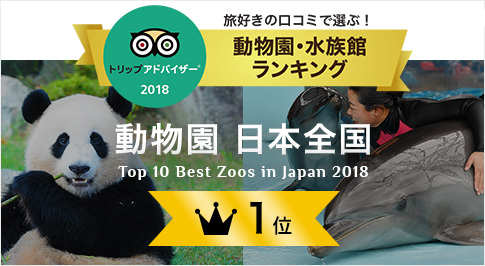 アドベンチャーワールドが「トリップアドバイザー」にランクインいたしました！！旅好きが選ぶ！動物園ランキング 2018で1位になりました！