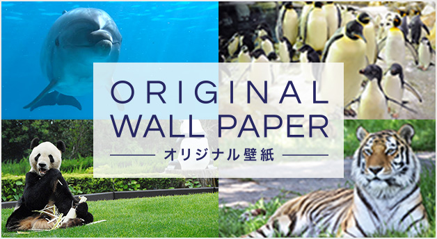 ORIGINAL WALL PAPER ～オリジナル壁紙～