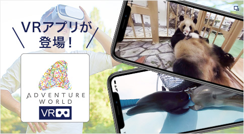 アドベンチャーワールドのVRアプリが登場！アプリの紹介ページはこちらから！