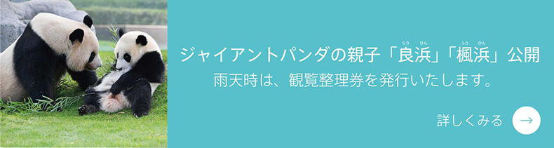 アドベンチャーワールド