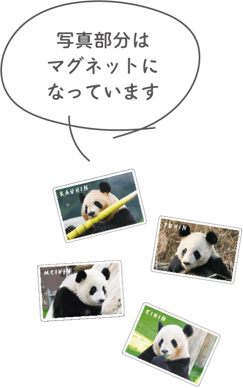 写真部分はマグネットになっています