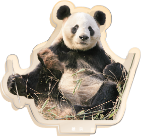 パンダのアクリルスタンド 雄浜2