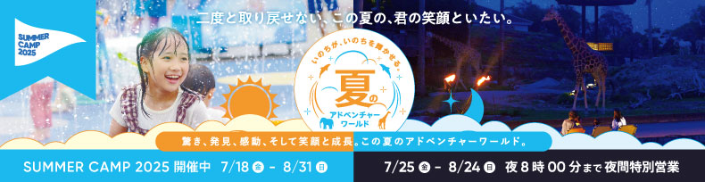 SUMMER CAMP