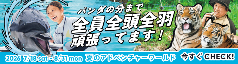 2026サマー