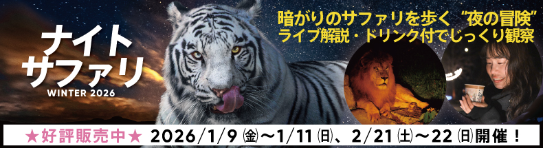 Night Safari Hiking 2026