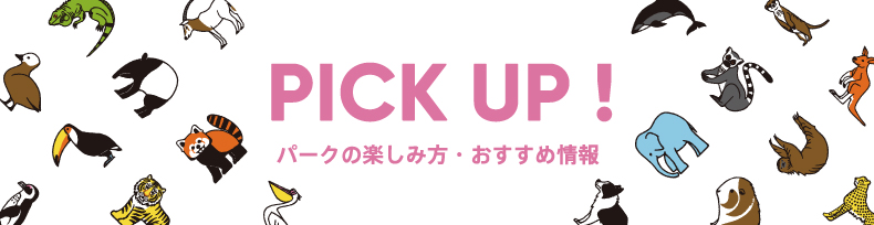 パークの楽しみ方