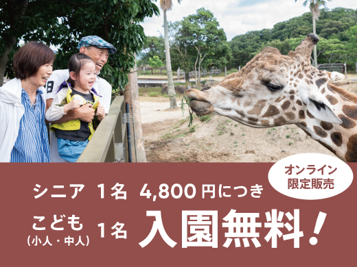 孫旅アドベンチャーパス