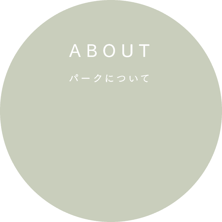 About the Park