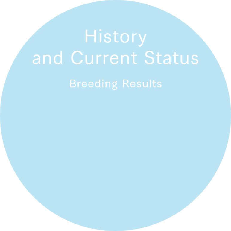 Breeding Results