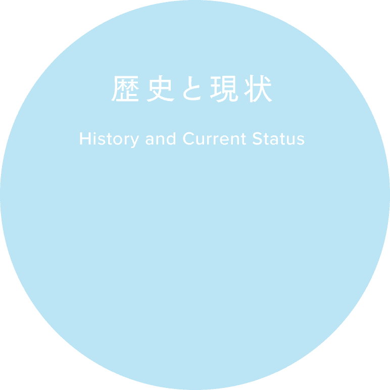 History and Current Status