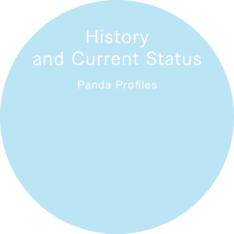 Panda Profiles