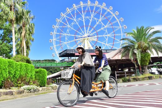 Cycling Safari