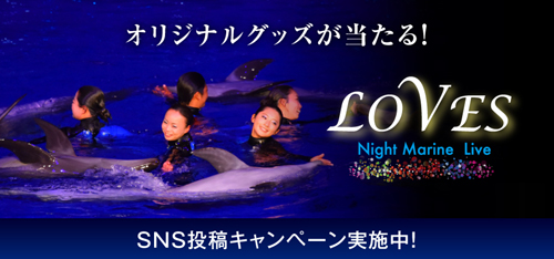 SNS Submission Campaign