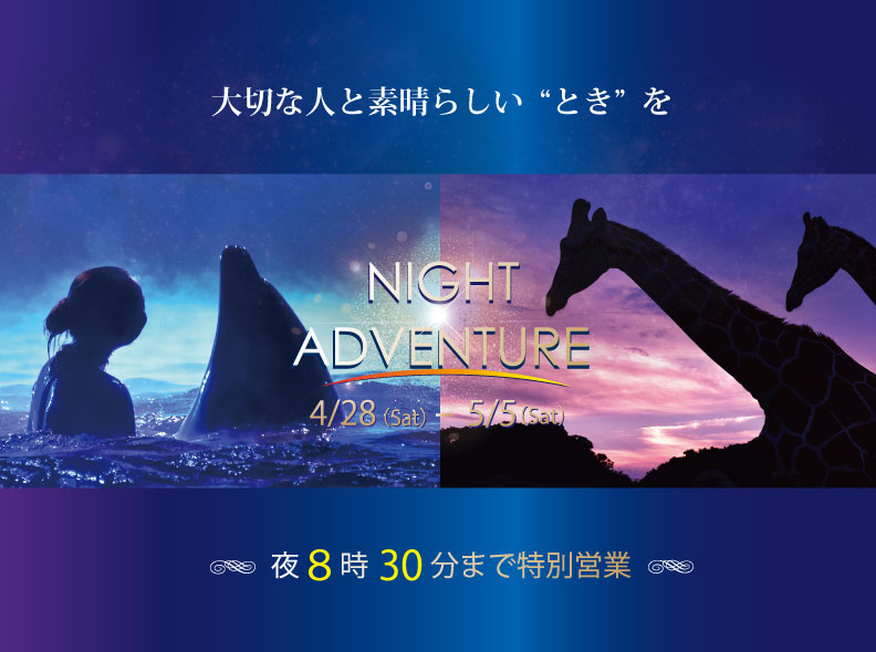 ナイト アドベンチャー ワールド ナイトアドベンチャー期間限定「ハーフデー入園券」のご案内