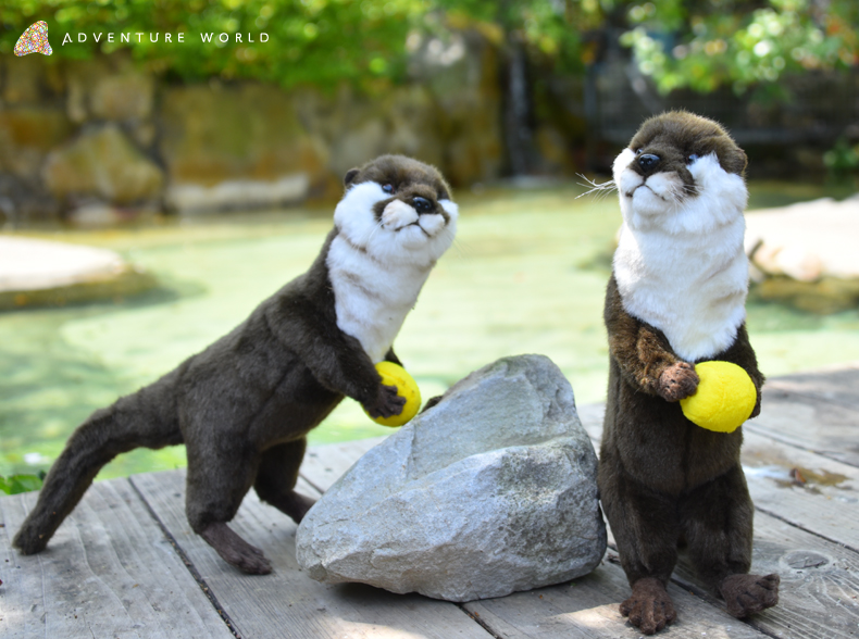 まるで本物 飼育スタッフの想いも詰まったリアルな コツメカワウソ と ウサギ のぬいぐるみをパーク内にて発売中 トピックス アドベンチャーワールド