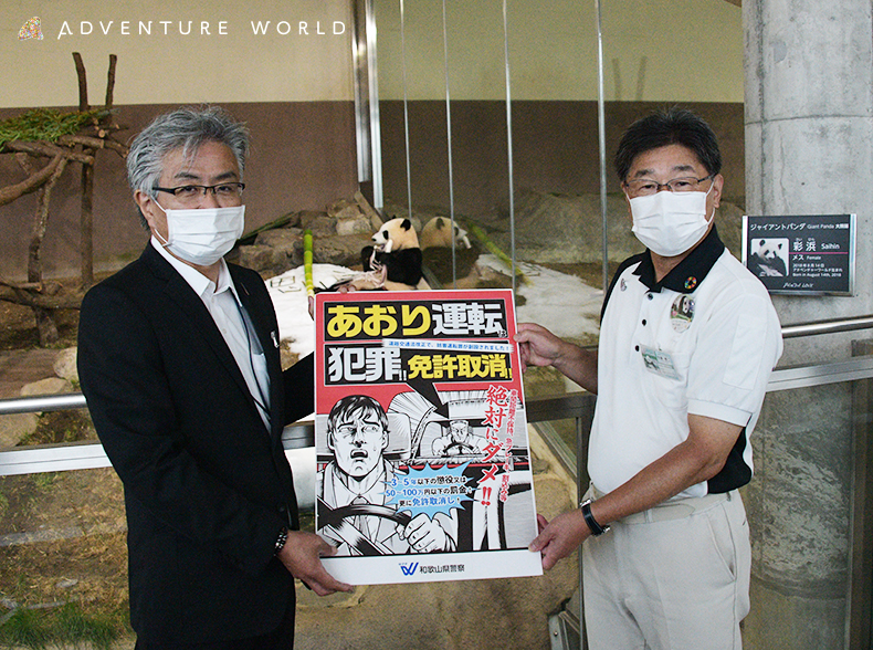交通安全和歌山夢大使「彩浜」が「思いやり運転」の広報活動を実施しました｜トピックス｜アドベンチャーワールド