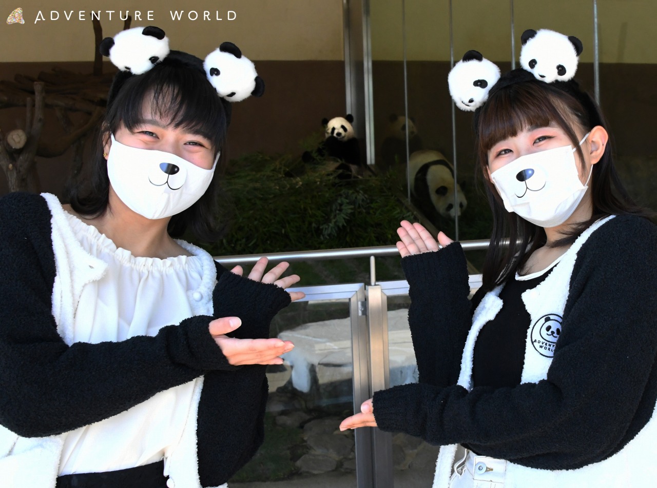 ドレスコードはパンダ仮装 ハッピーパンダハロウィンパーティー を開催します １０月３１日 土 １１月１日 日 トピックス アドベンチャーワールド