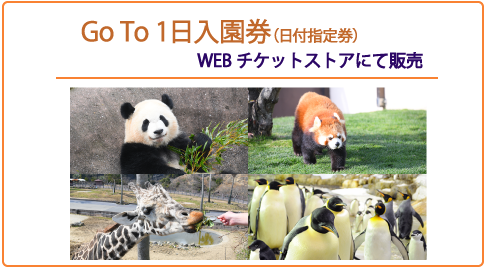 Go To イベント を利用してご入園の１日入園券をwebチケットストアにて 通常価格の２割引でご購入いただけます トピックス アドベンチャーワールド