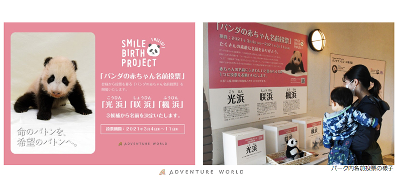 Smile Birth Project 命のバトンを 希望のバトンへ パンダの赤ちゃん名前投票に９万票を超える投票ありがとうご ざいました ３月１８日 木 パンダの赤ちゃん命名セレモニー にて赤ちゃんの名前を発表いたします トピックス アドベンチャーワールド