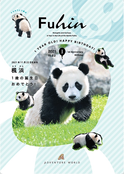 Happy Panda Fes ２０２１ 誕生日パーティー １１月２２日 月 楓浜 ふうひん が１歳の誕生日を迎えます ご来園者先着２ ０００名様に誕生日記念プレゼント トピックス アドベンチャーワールド