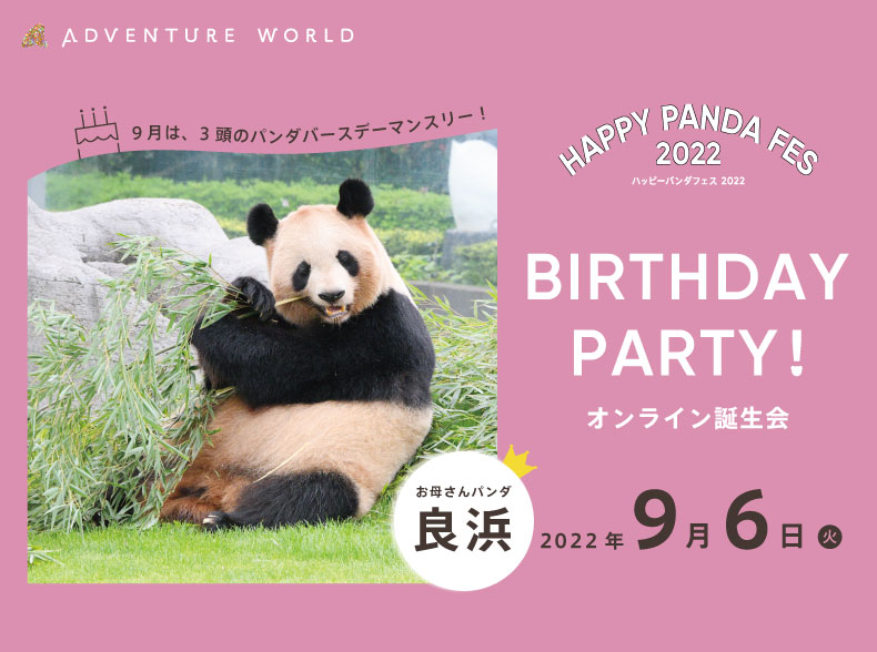 Happy Panda Fes２０２２ ３頭の誕生日パーティー 朝は公式snsでライブ配信 夜はオンライン誕生 会でお祝い お母さんパンダ 良浜 らうひん ２２歳の誕生会を開催します ２０２２年９月６日 火 トピックス アドベンチャーワールド