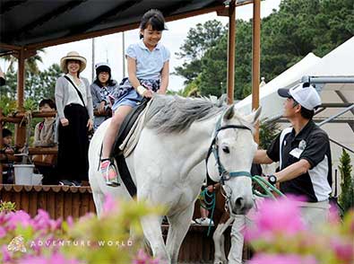 ツアー アトラクション アドベンチャーワールド