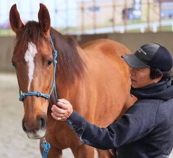 宮田 朋典