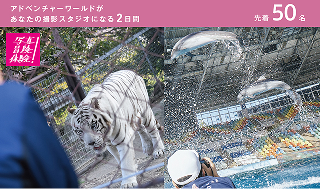 写真イベント