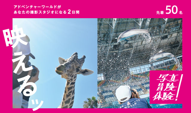 写真イベント