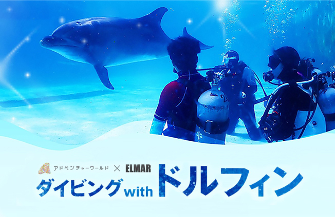 ダイビングwithドルフィンのイメージ