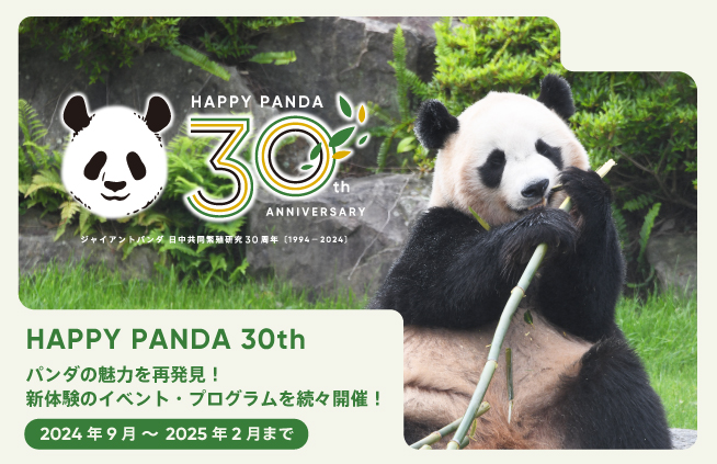みゃー様 27〜28日 例えれ