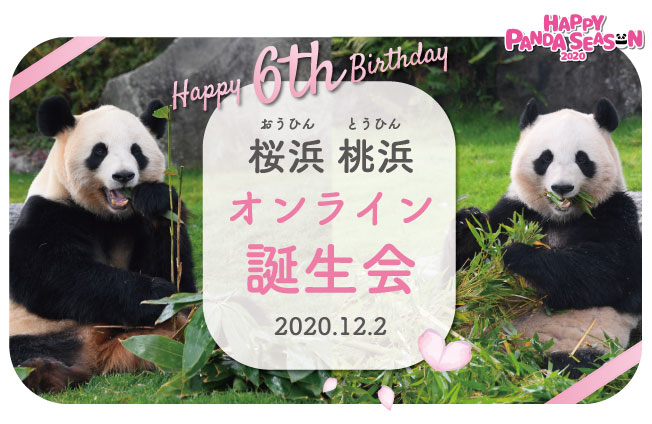 100以上 ず から 始まる 動物 21年のほとんどの壁紙画像とても良い 100以上 ず から 始まる 動物 21年のほとんどの壁紙画像とても良い