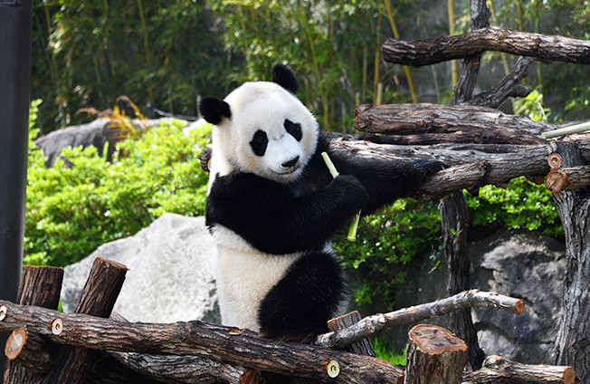 アドベンチャーワールド