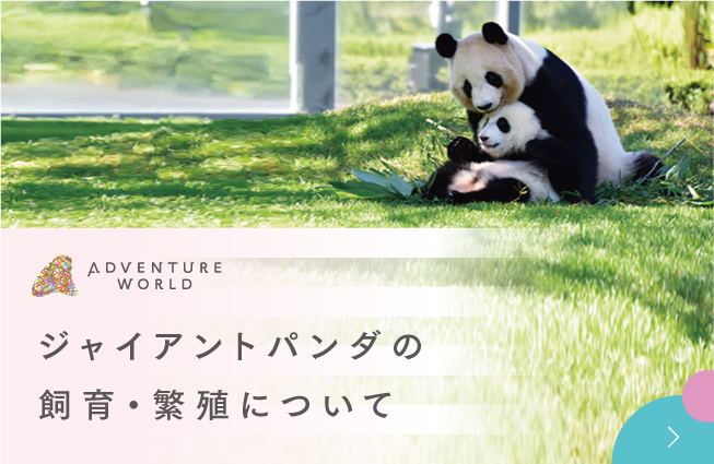 アドベンチャーワールド