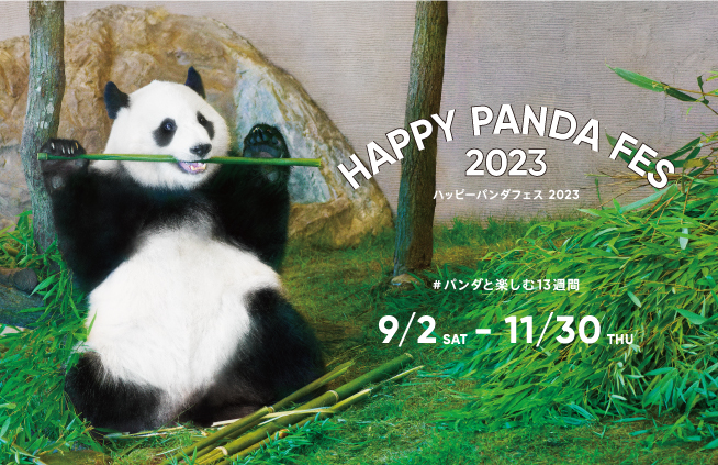 Pandaさま