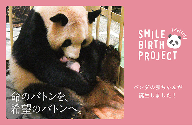 アドベンチャーワールド