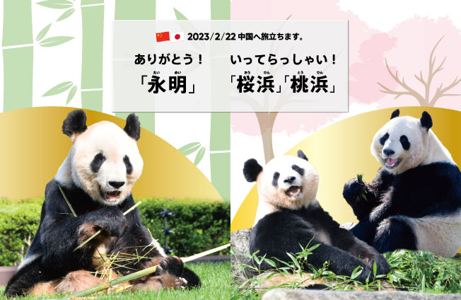 アドベンチャーワールド