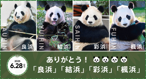 ありがとう!パンダファミリー