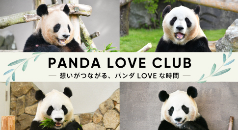 PANDA LOVE CLUB