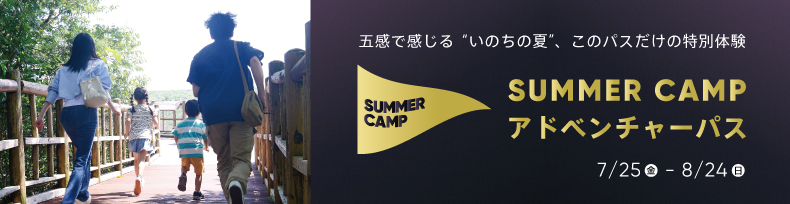 SUMMER CAMPアドベンチャーパス