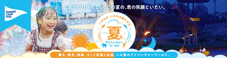 SUMMER CAMP