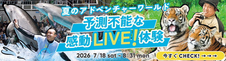 2026サマー