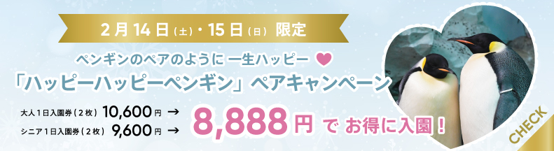 バレンタイン2026