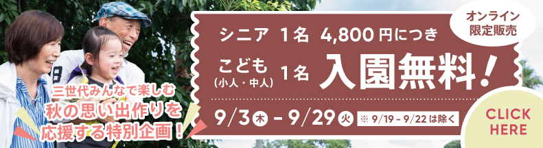 孫旅アドベンチャーパス