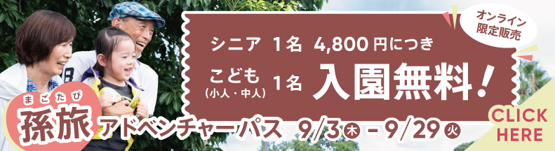 孫旅アドベンチャーパス