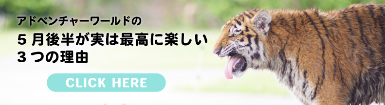 5月後半の楽しみ方